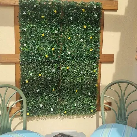 Pedro&matias Dream *