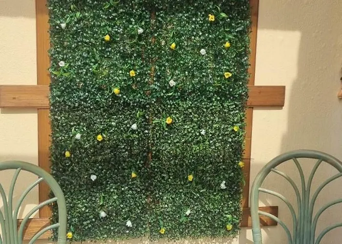 Pedro & Matias Dream *